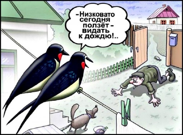 Так себе картинки 14.10.25
