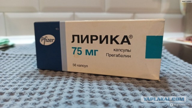 В гостях у сказки
