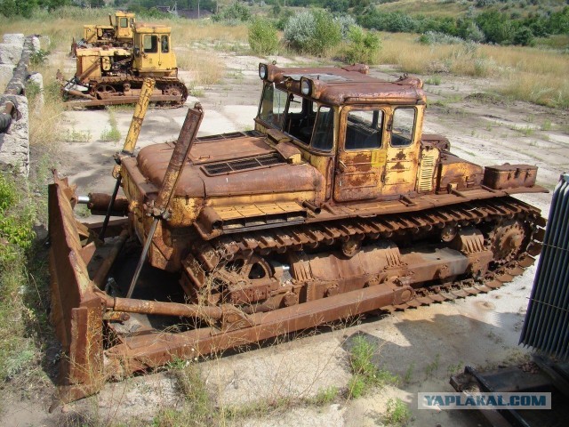Caterpillar.