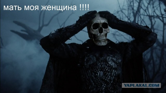 Сейчас не время спрашивать