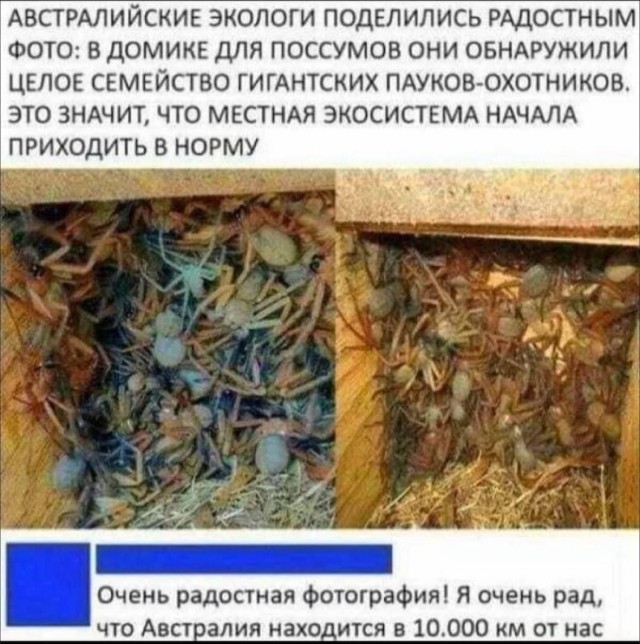 Веселые картинки в маленькую пятницу (03.12)