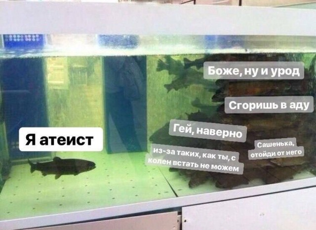 Слава Богу - я атеист 30..