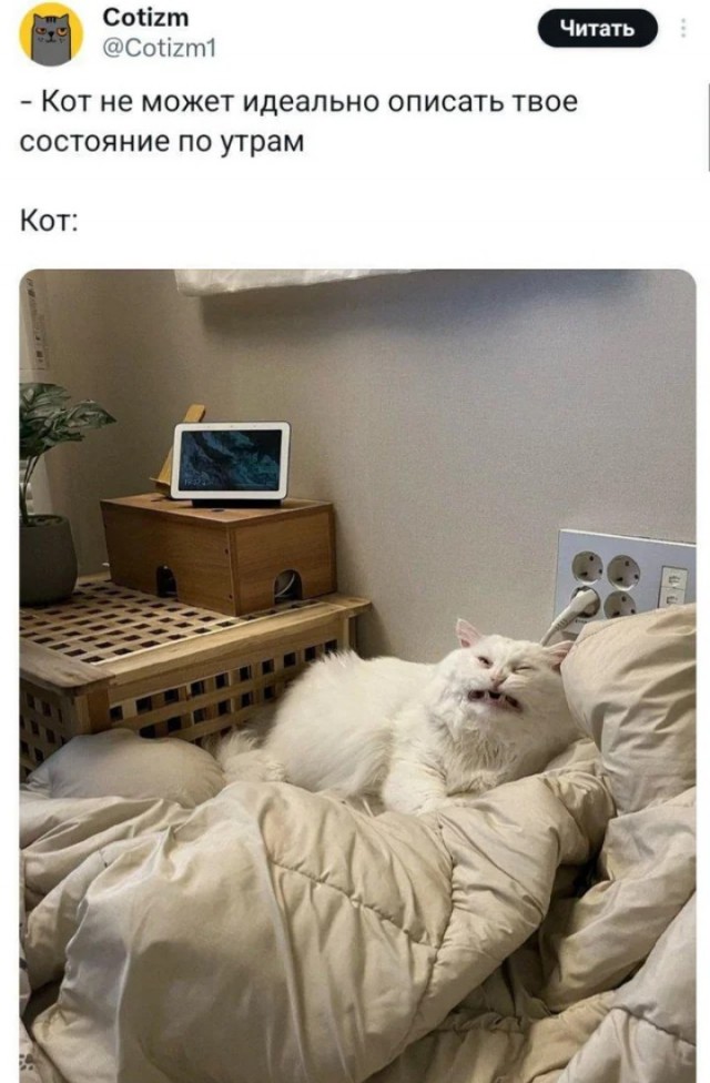 *зачёркнуто*
