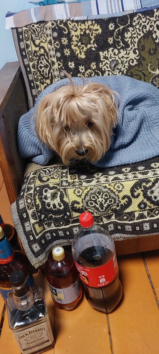Всех с собакочетвергом.