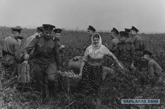 Советская армия в фотографиях