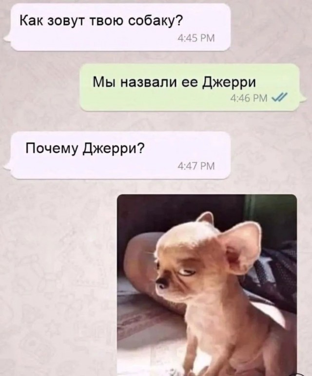 Так себе картинки 04.07.26