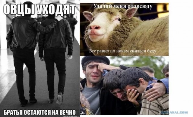 Вопиющий случай