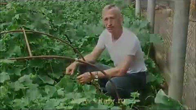 Нажрусь сегодня