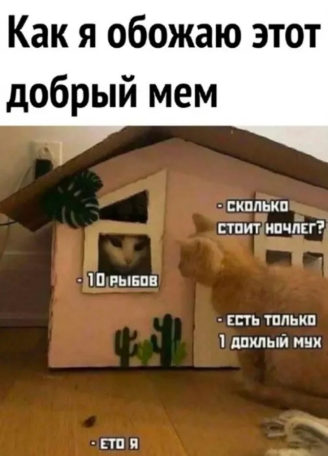 Так себе картинки 01.09.26