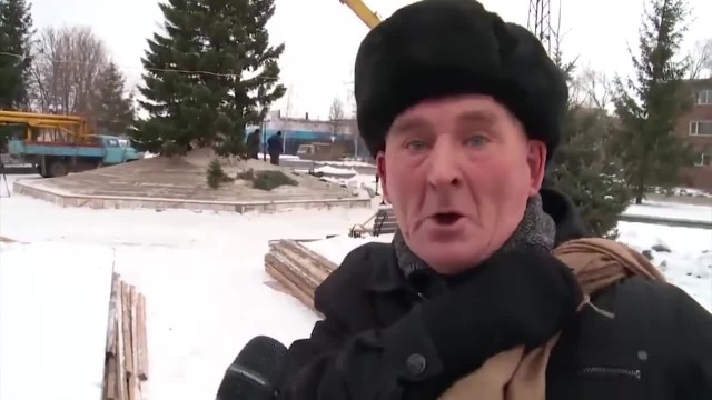 В Петербурге заметили первую новогоднюю ёлку