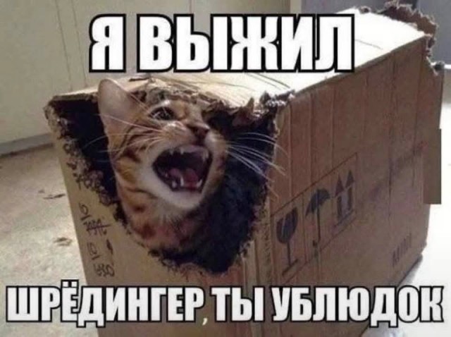Веселые картинки в понедельник (19.10)