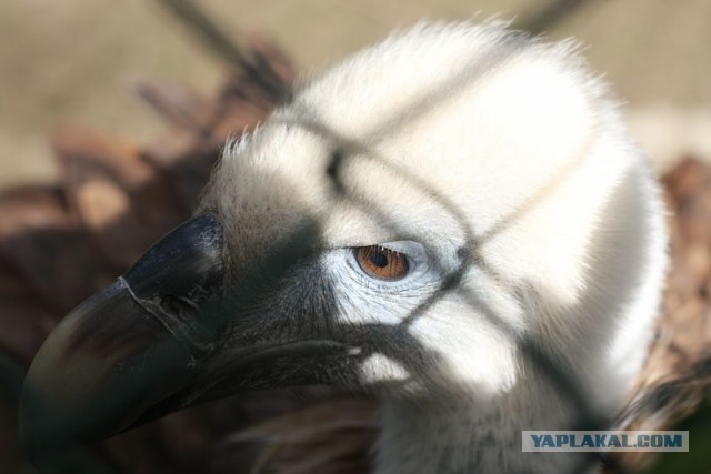Испания 10 дней дикарем