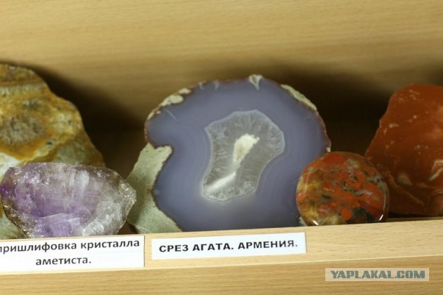 Музей шедевров природы
