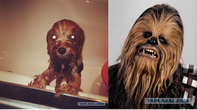 Подборка прикольных фото на начало мая