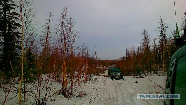 Кто и как катается на внедорожниках