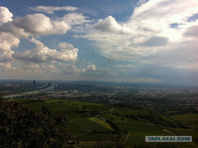 Пара дней в Вене
