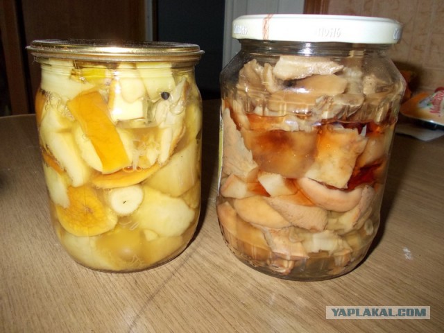 Картофель с грибами