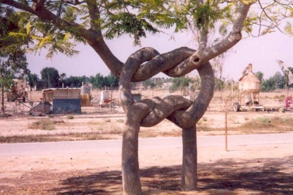 Cекреты, унесённые в могилу