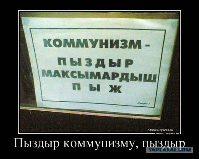Я убила муху
