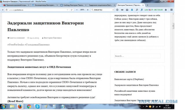 Признали виновной в краже собаки-поводыря.