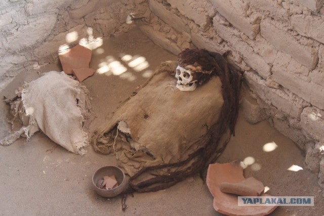 Отчет о путешествии в  Перу