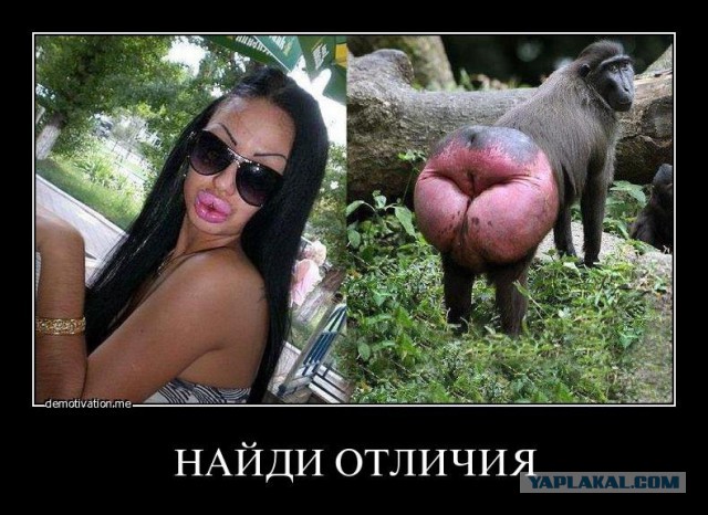 Признание лохотронщика