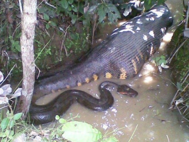 Прикольные картинки и демотиваторы