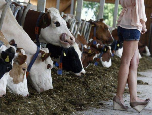 Ужасы и приколы из соцсетей 18+