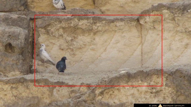 Пора вари... валить бетон! "Альты", шах и мат!