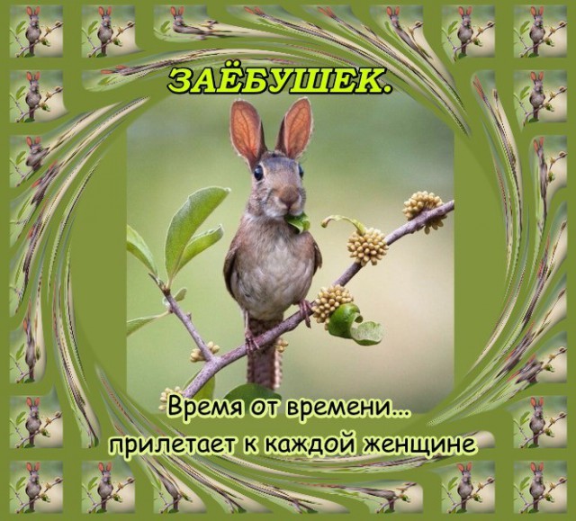 Я сказала домой!
