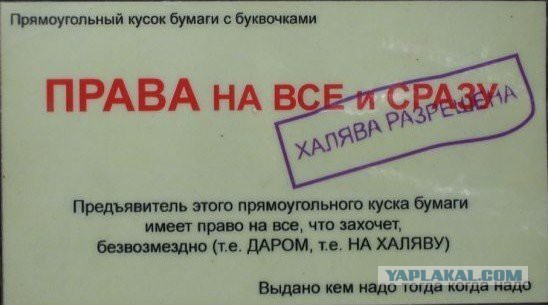 О неравнодушных и любителях халявы в Петербурге