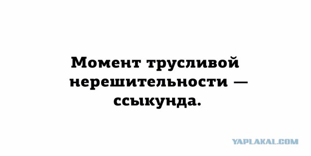 Подборка интересных и веселых картинок