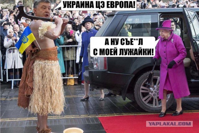 Подборка интересных и веселых картинок