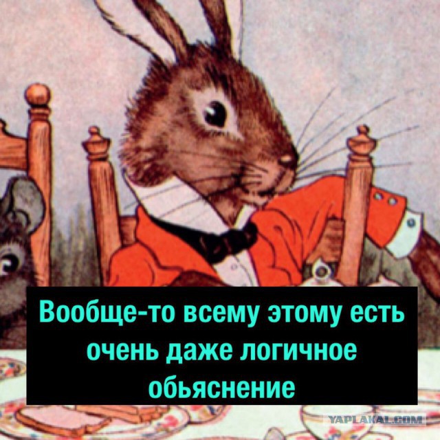 Феминистка и ее понимающий мужчина