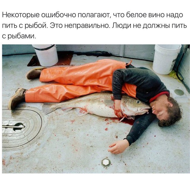 Кругом елбаны