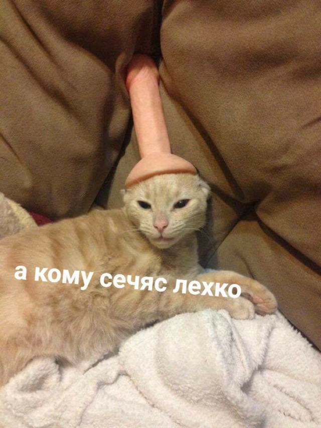 Мама, я - пакет