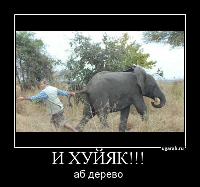 Не смешите меня