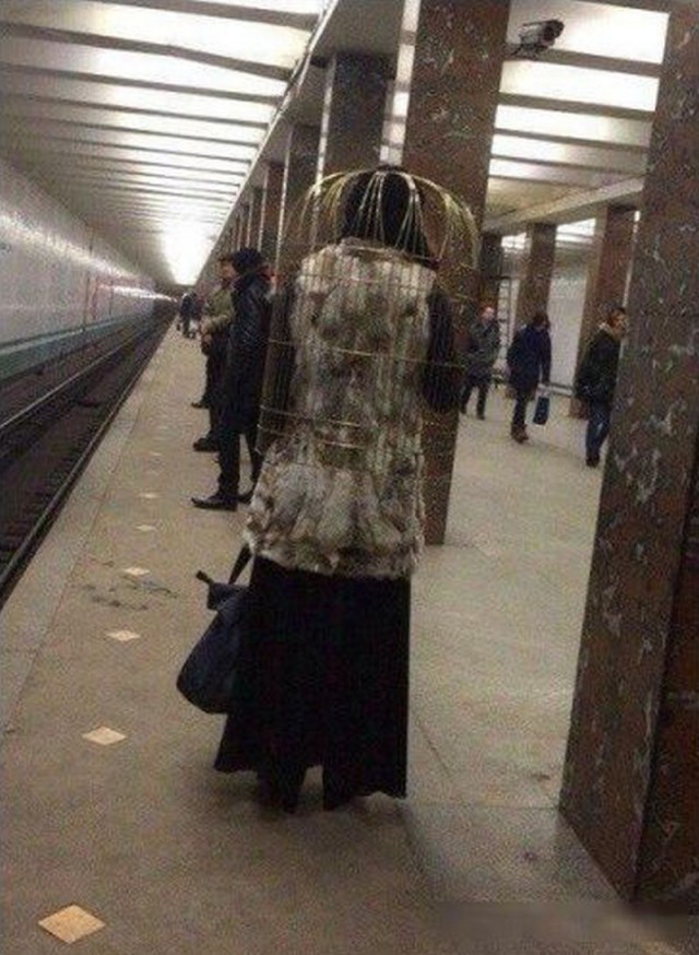 Картинки по-приколу
