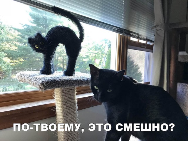 Немного картинок в этот вторник