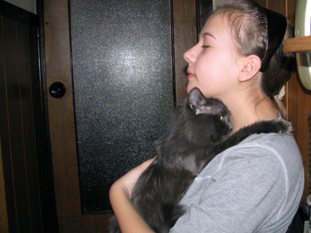 Котовторник 1.02.2011