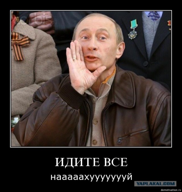 Сонный Котовторник