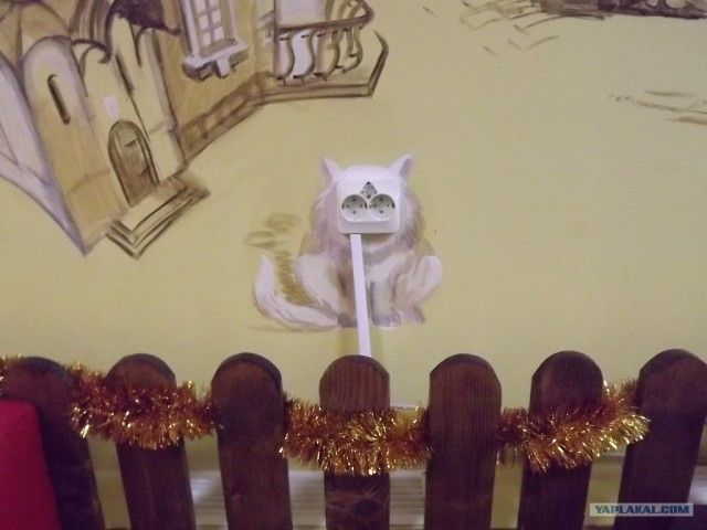 Котовторник 20.12.2011