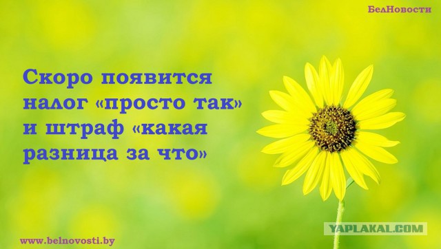 «Заплатите за мусор в 50 раз больше». Взбесившиеся тарифы