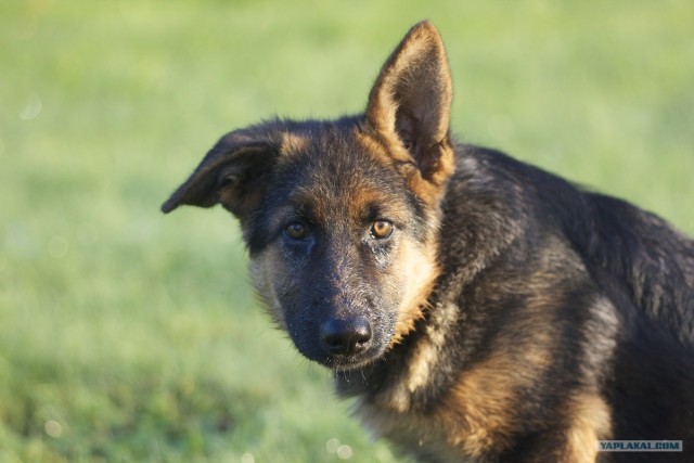 Слушаю вас внимательно!