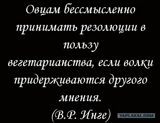 Шипы, Ларьки, Валежник: семь громких законодательных изменений, которые сначала торжественно ввели, а потом отменили