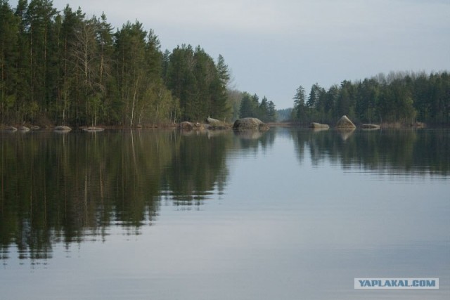 любительская фотография