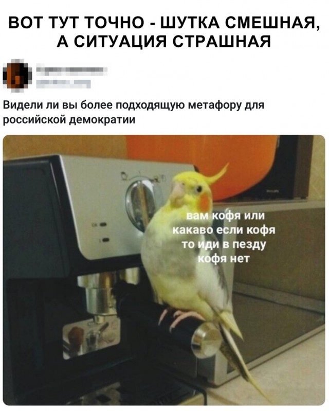 Чёрная масленица на подходе...