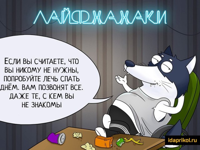 Применим физику в постели или белка и стрелка. Картинки