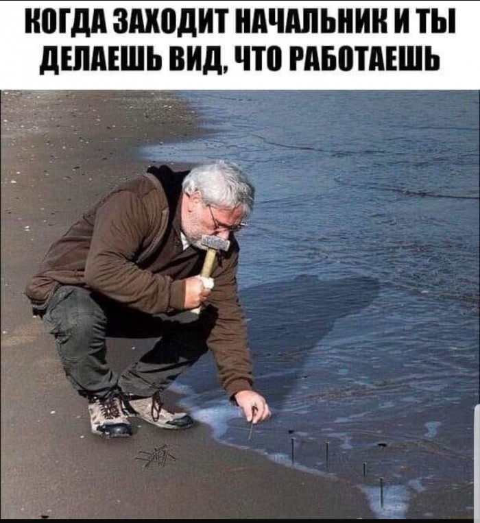 Понедельник пикчерс