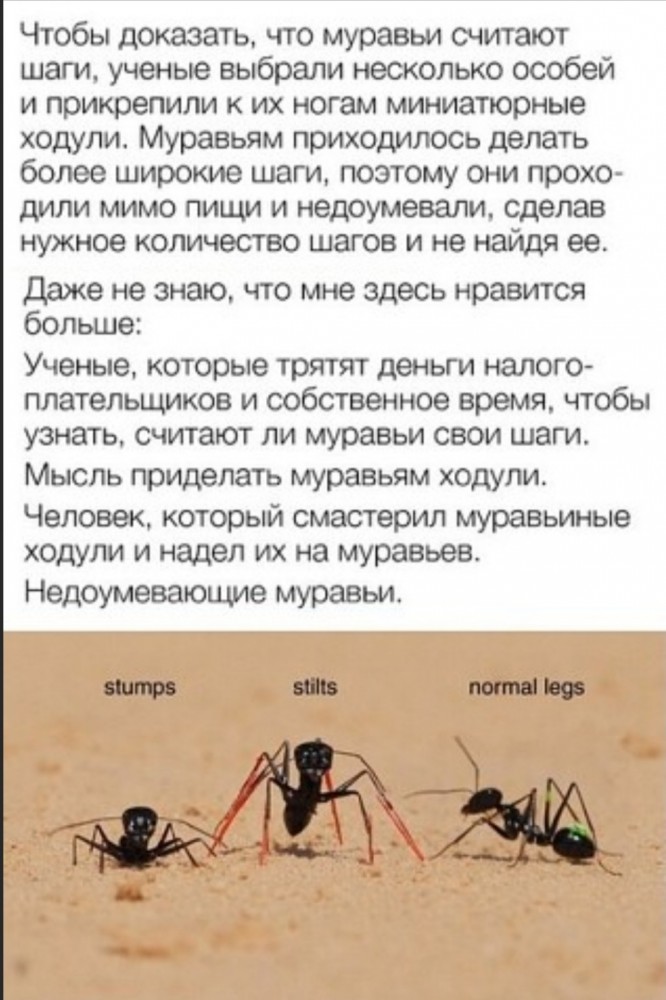 Бредзона 27.01.2020